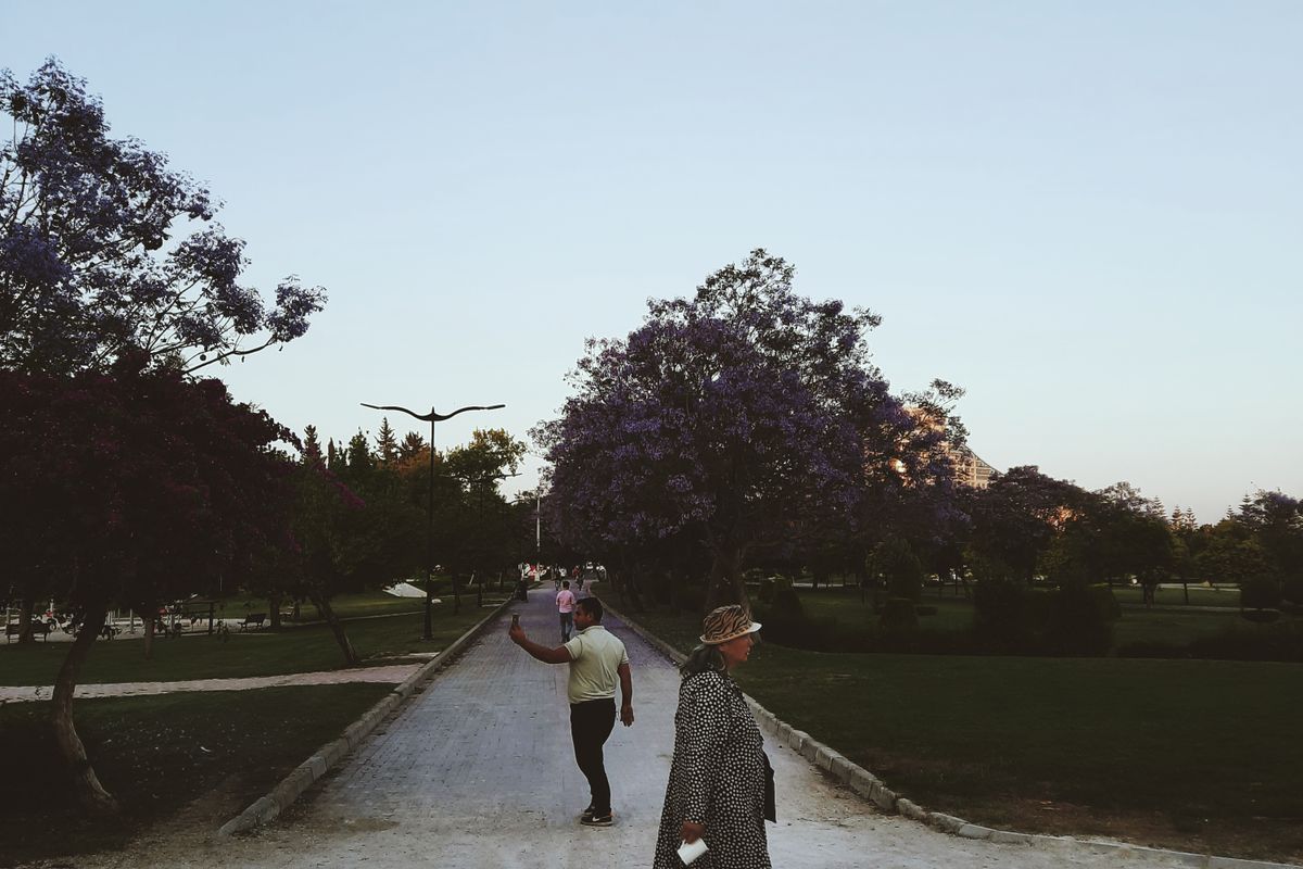 People walking along a tree-lined park pathway